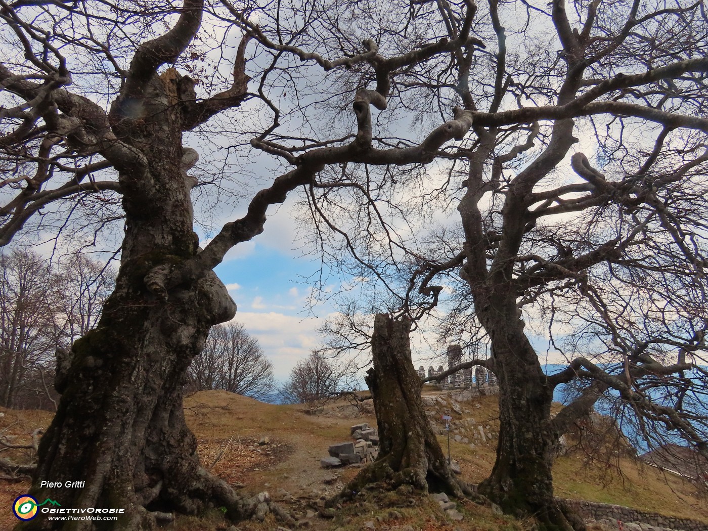 58 I Tre Faggi...quello centrale ci ha lasciato.JPG